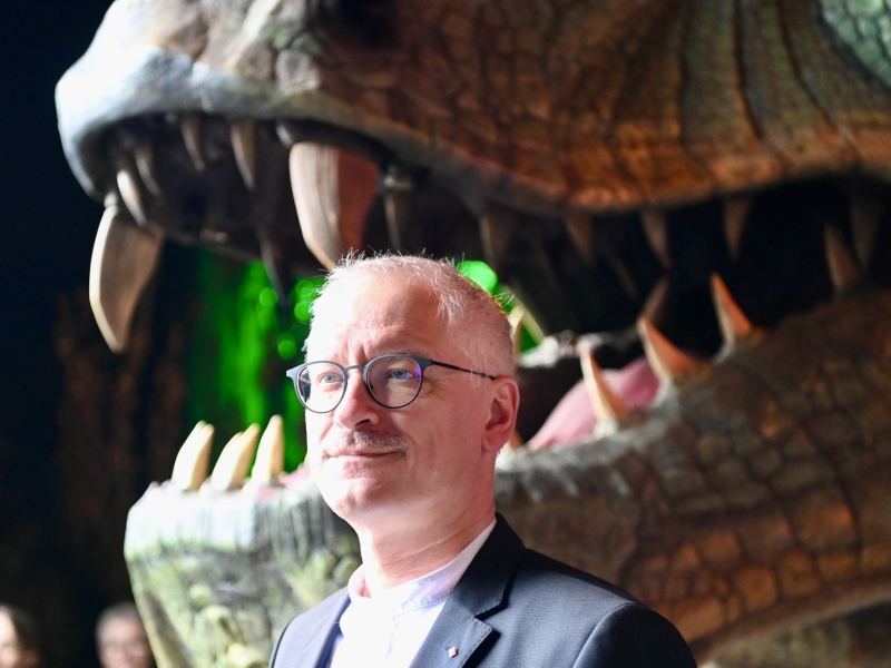 Person und Drache