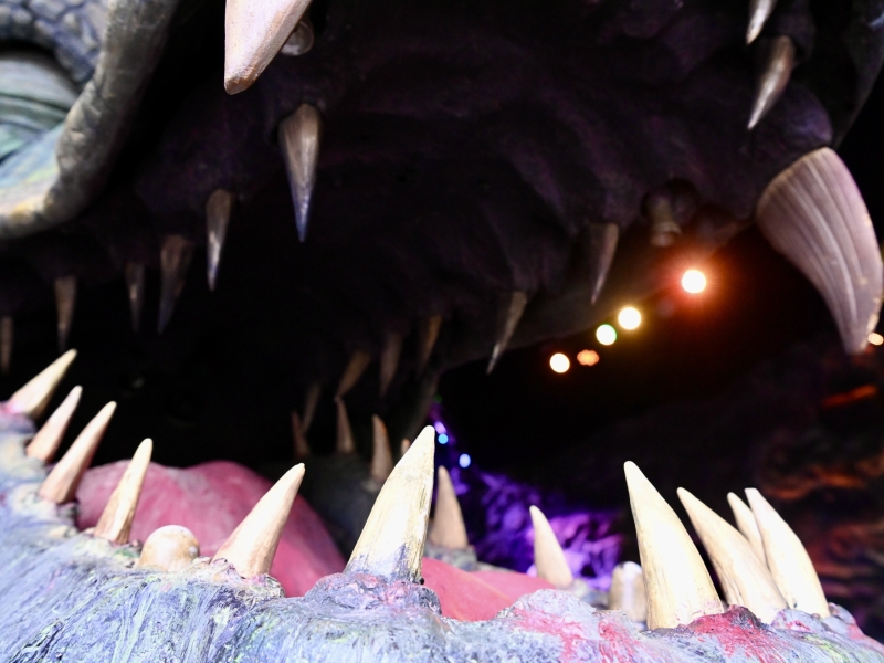 Drache bei Nacht