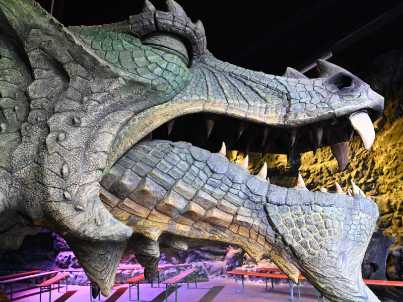 Drache bei Nacht