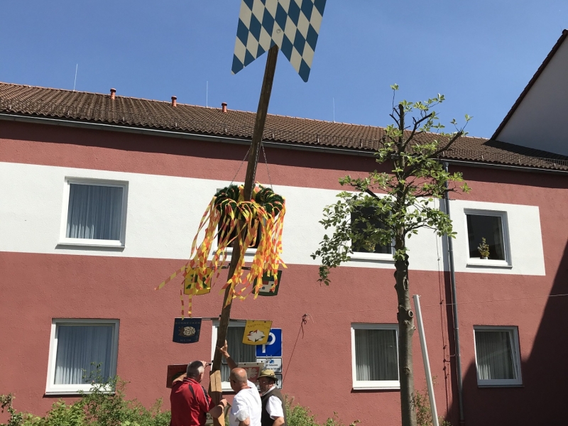 Baum wid aufgestellt