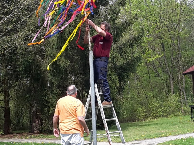 Baum wird aufgestellt