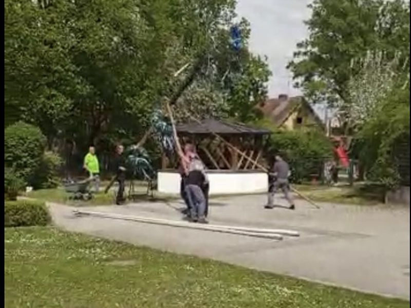 Baum wird aufgestellt