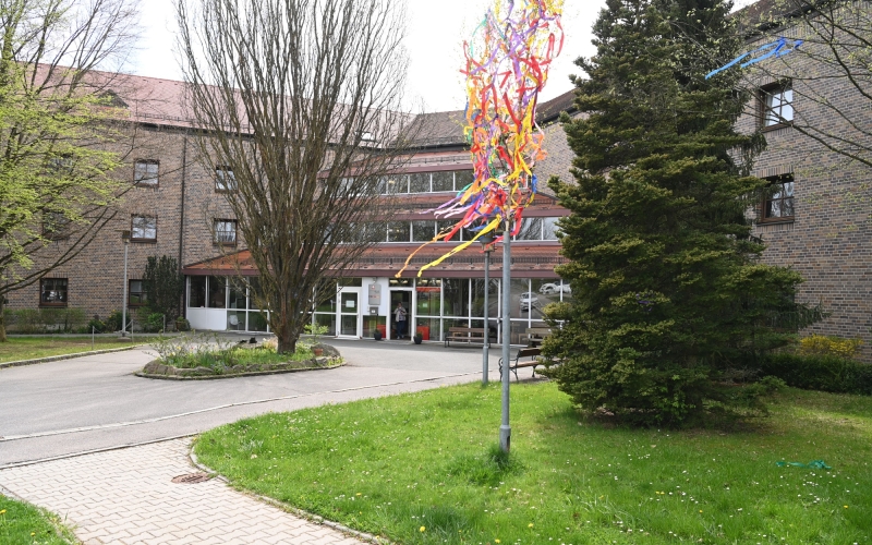Außenaufnahme Baum