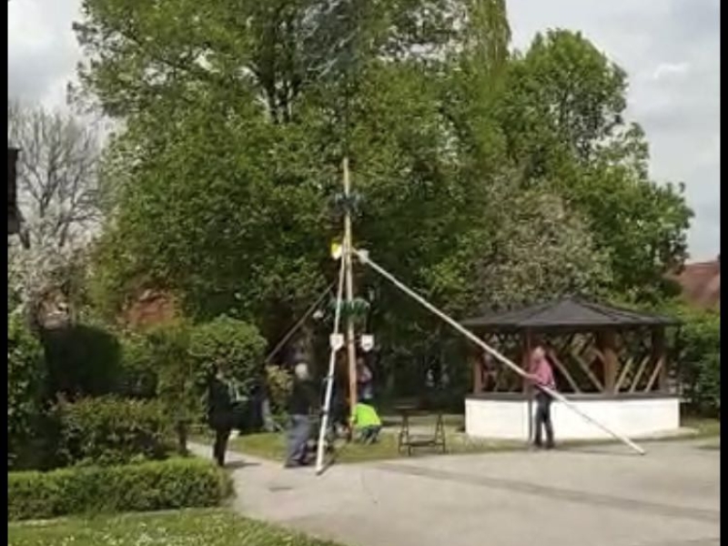 Jetzt steht auch der Baum in Wallersdorf!