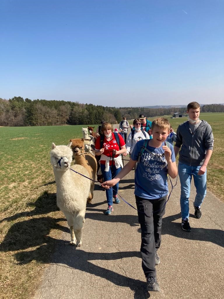Kinder mit LLamas