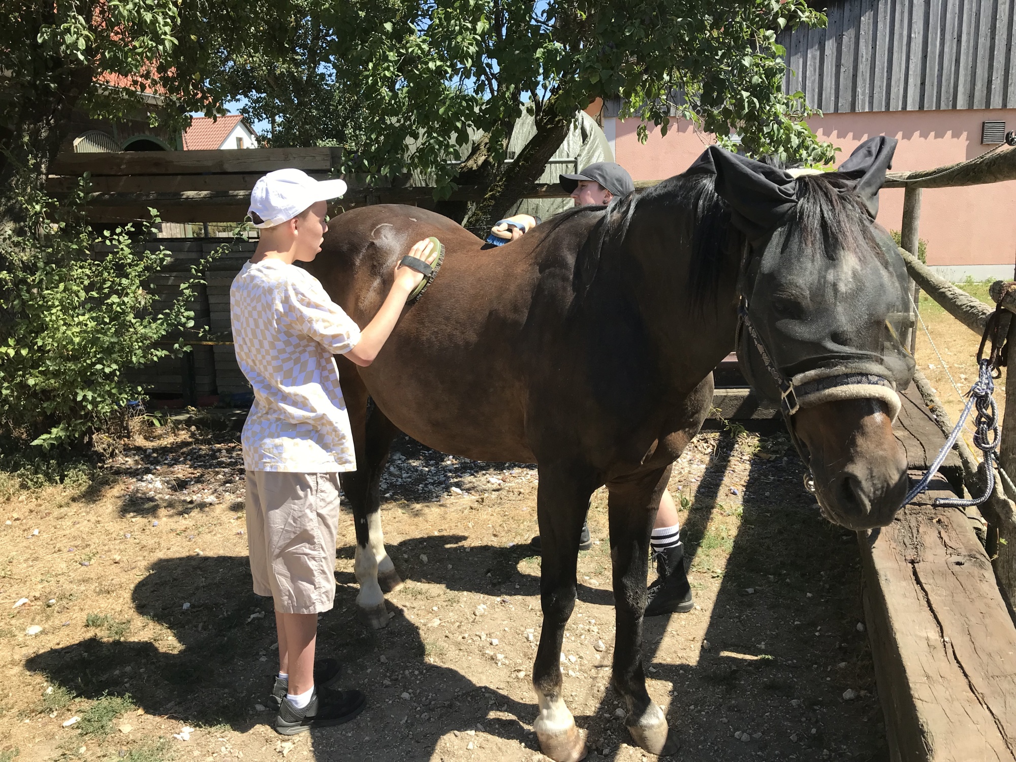 Kinder auf einem Bauernhof