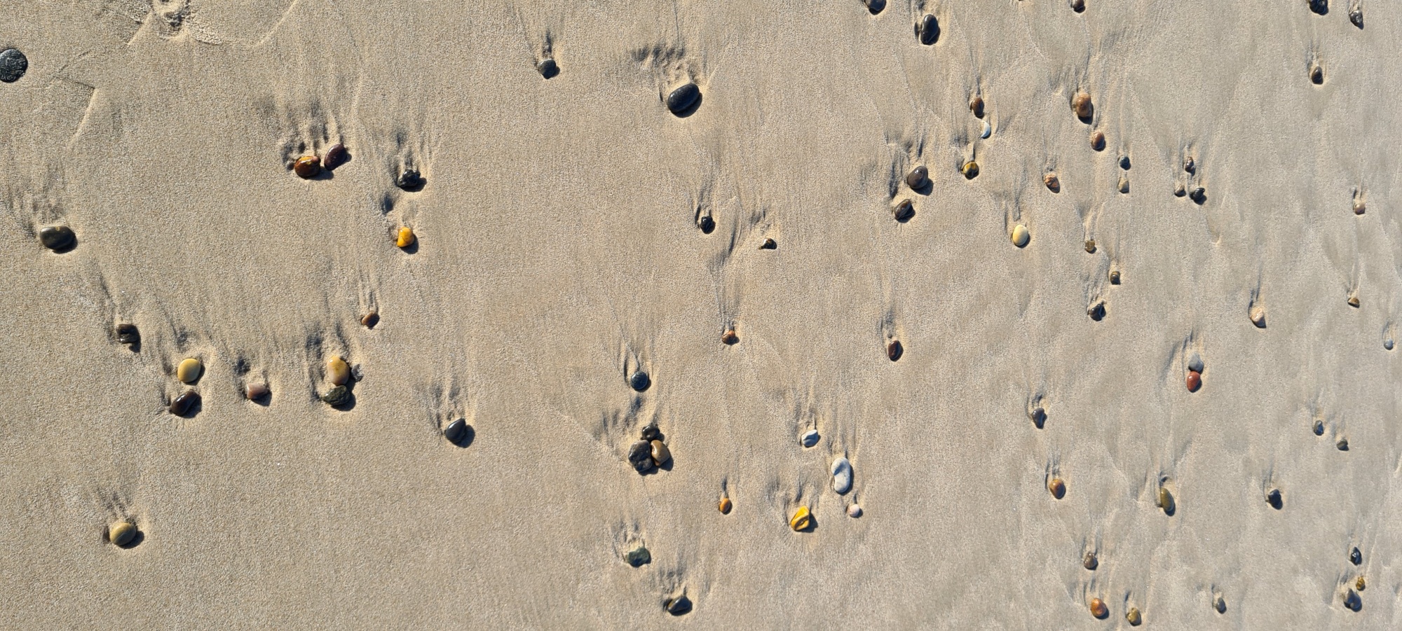 Spuren in Sand