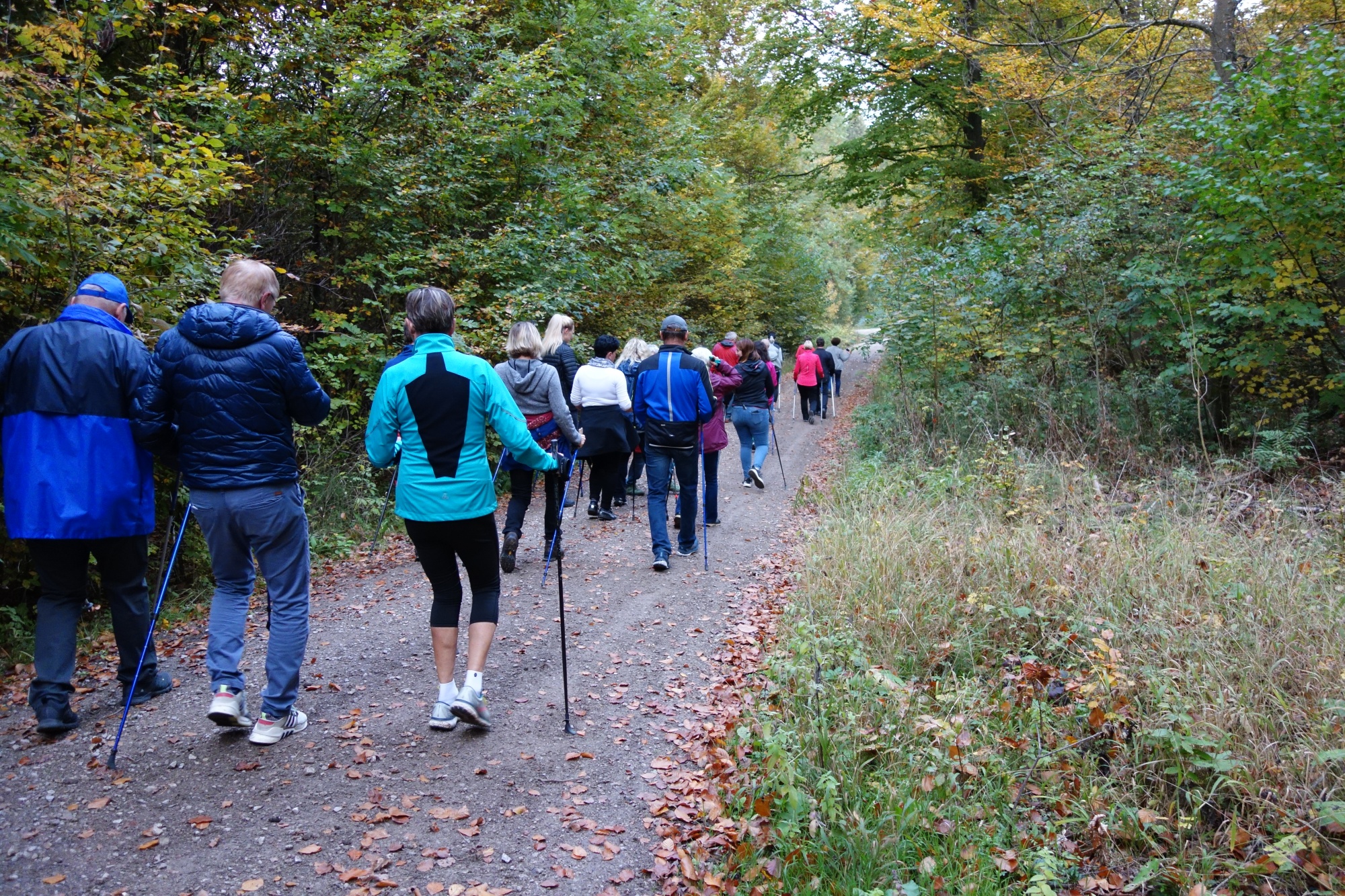 Gruppe beim NordicWalking